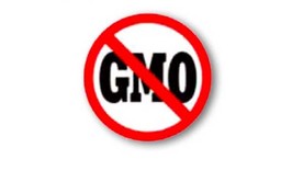 Кръгли етикети NO GMO Ф20 mm